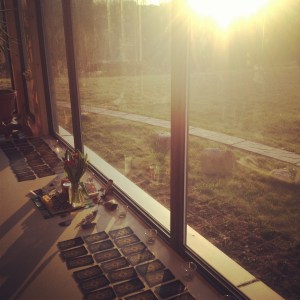 It was certainly easy to find peace in such a restful place