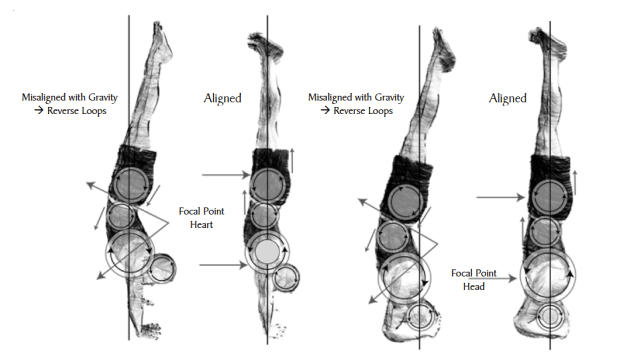 Screen shot 2014-08-18 at 3.01.01 PM