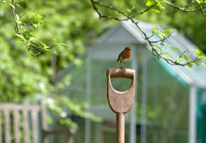 Cath in Dorset- Assistant Gardener