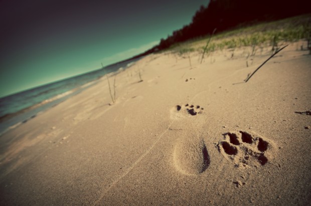 3703497256_0155fe9b75_o