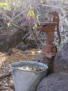 Cowboy Plumbing- Toronto National Forest by Al_HikesAZ