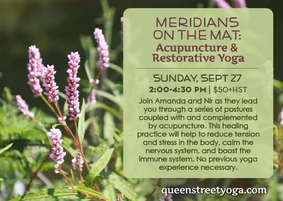 meridians on the mat