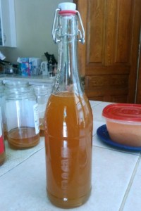 reusing flip-top beer bottles seems to work the best for me, but you can also reuse empty store-bought kombucha bottles, or even mason jars if the lids and rings can make an air-tight seal