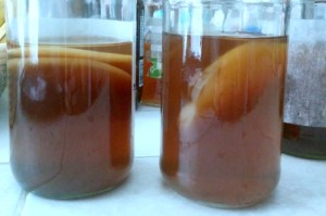 some SCOBYs float at the top of the liquid, while others float sideways - both will form new SCOBY layers along the surface of the tea