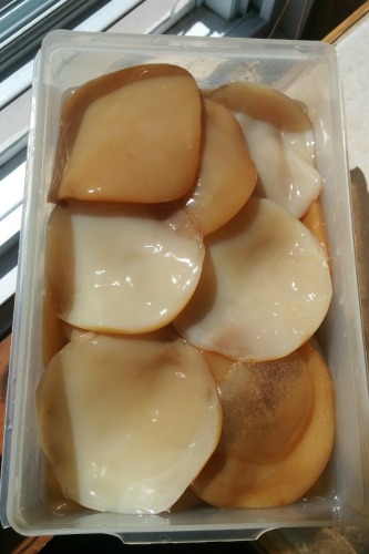 the whiter the newer, but all SCOBYs are equally effective