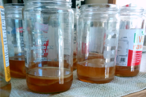 the bigger the jar, the more starter you can use, and the more SCOBY volume you can have, either with a single thick SCOBY or multiple thin SCOBYs