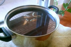 I leave mine to cool on the windowsill - no room for pie here