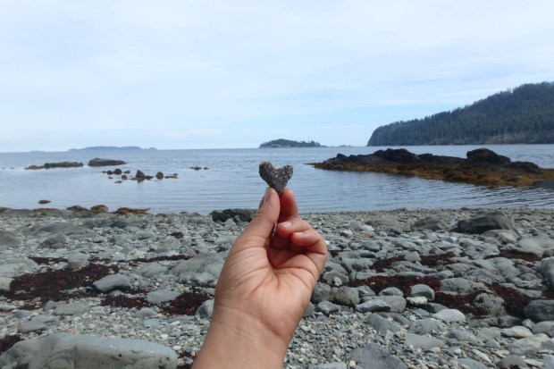 T'aanu Llnagay, Historical Haida Village Site, Haida Gwaii, August 2016